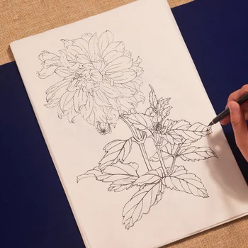 Внимателен фигура линия за рисуване ръкопис хартия за рисуване Традиционна източване на Бамбук орхидея хризантема Копие на фото хартия
